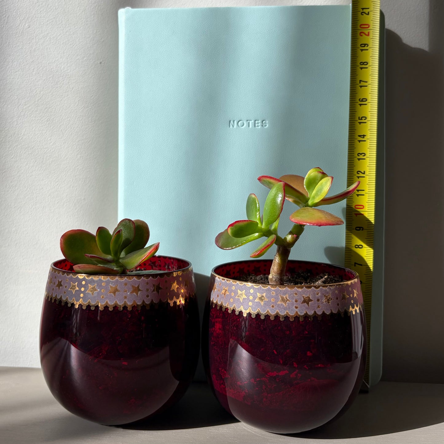 Jade Plant in Vintage Ruby Glass (Set of 2)