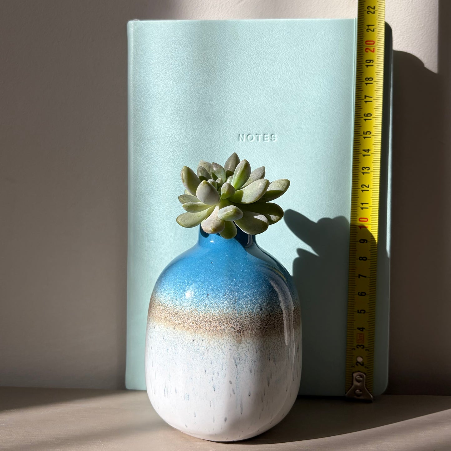 Moonstone succulent in Sass Belle Mojave vase