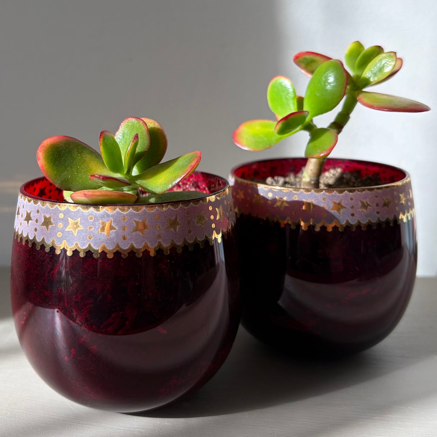 Jade Plant in Vintage Ruby Glass (Set of 2)
