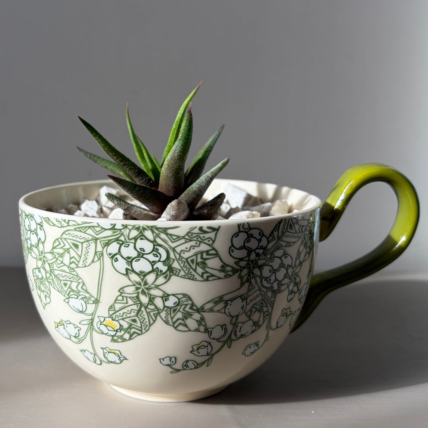 Haworthia paired with a Florentine Verde cup
