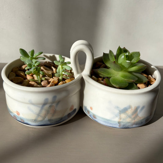 Mixed Succulents in Antique Royal Bonn Dish