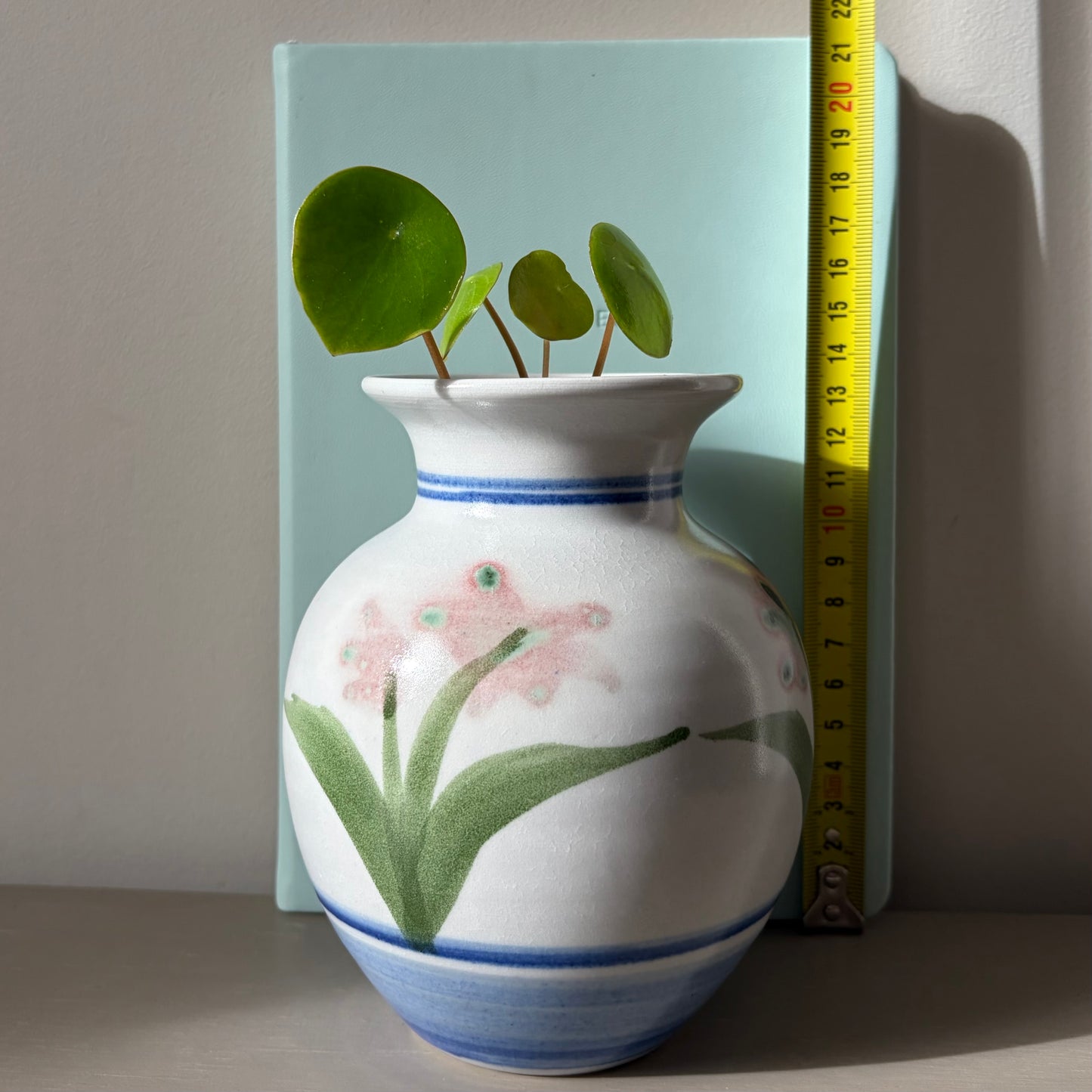 Raindrop Peperomia in vintage floral vase