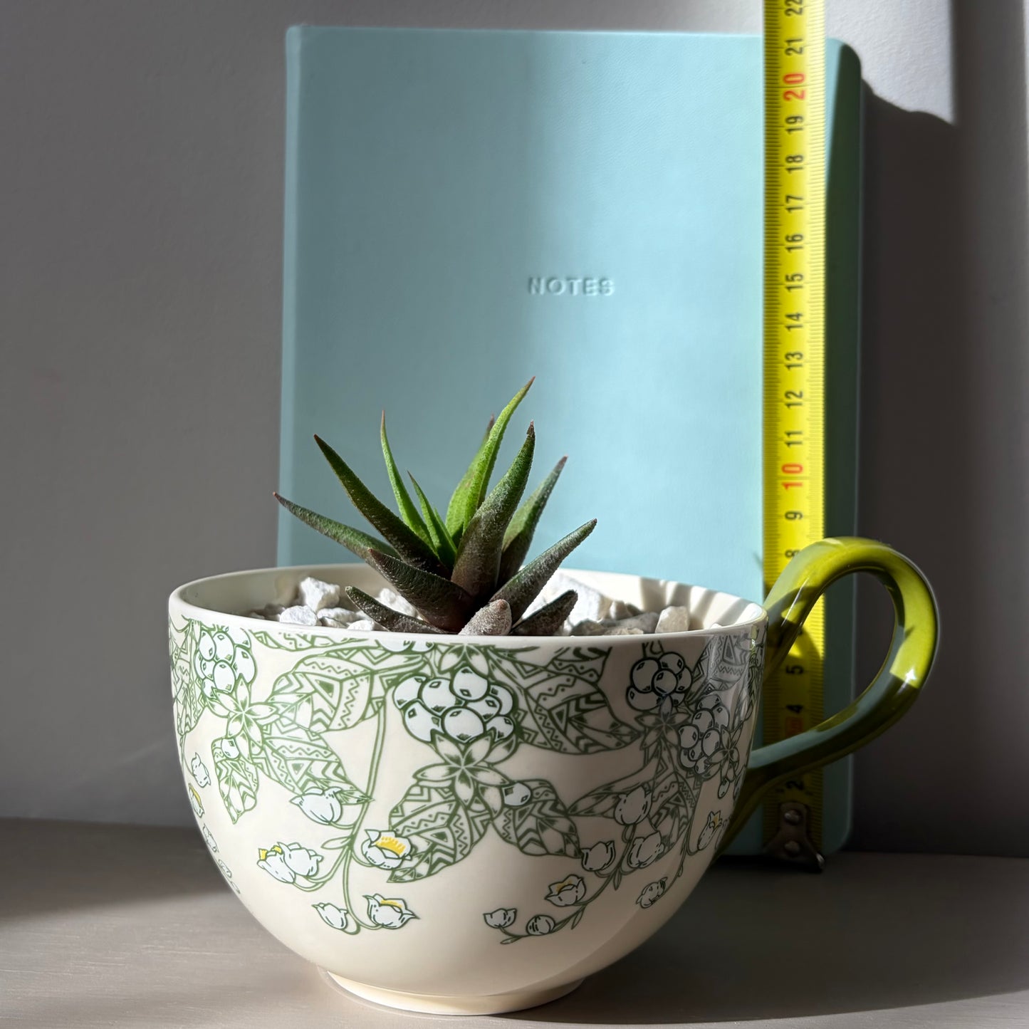 Haworthia paired with a Florentine Verde cup