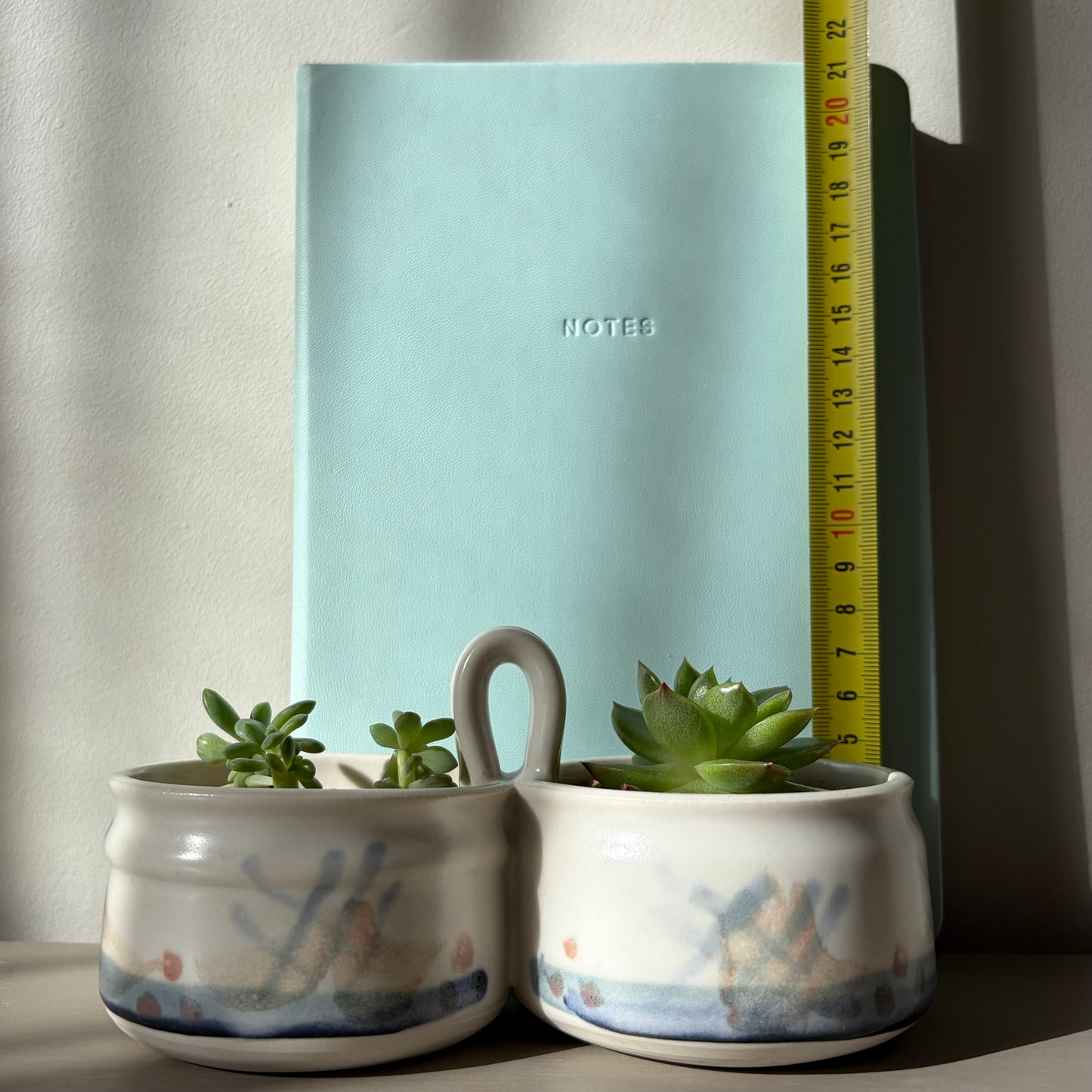 Mixed Succulents in Antique Royal Bonn Dish