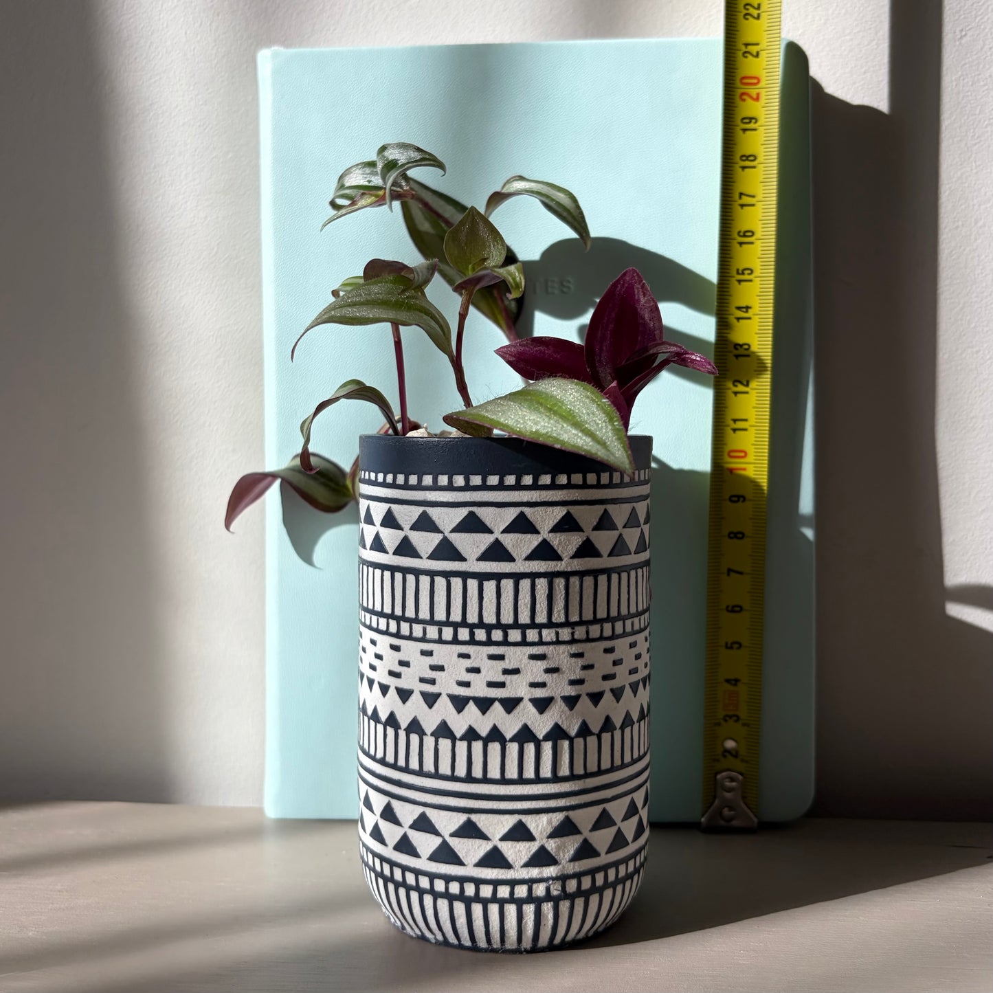 Tradescantia Zebrina in Tribal Ceramic Vase
