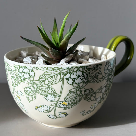 Haworthia paired with a Florentine Verde cup
