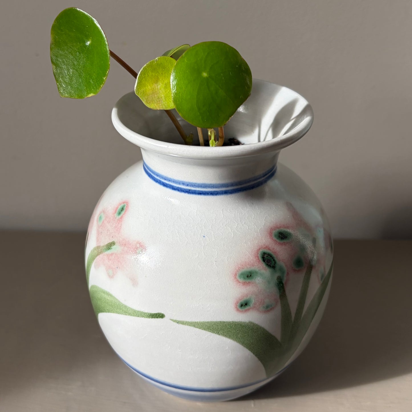 Raindrop Peperomia in vintage floral vase